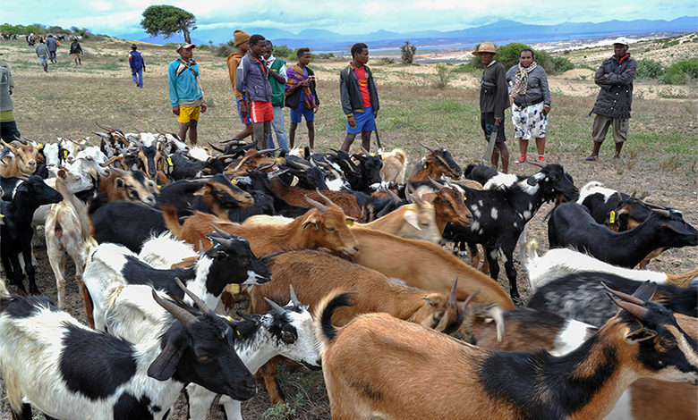 Programme de soutien au population dans le Sud de Madagascar
