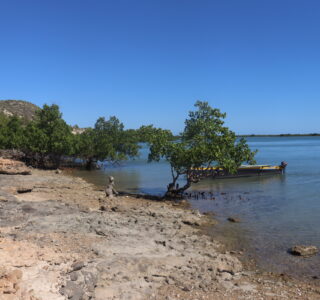 Appel à lettres d’intentions pour le Hotspot de biodiversité Madagascar et les îles de l’Océan Indien (MADIO) Petites subventions