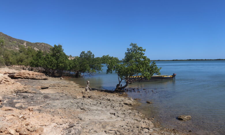 Appel à lettres d'intentions pour le Hotspot de biodiversité Madagascar et les îles de l'Océan Indien (MADIO) Petites subventions