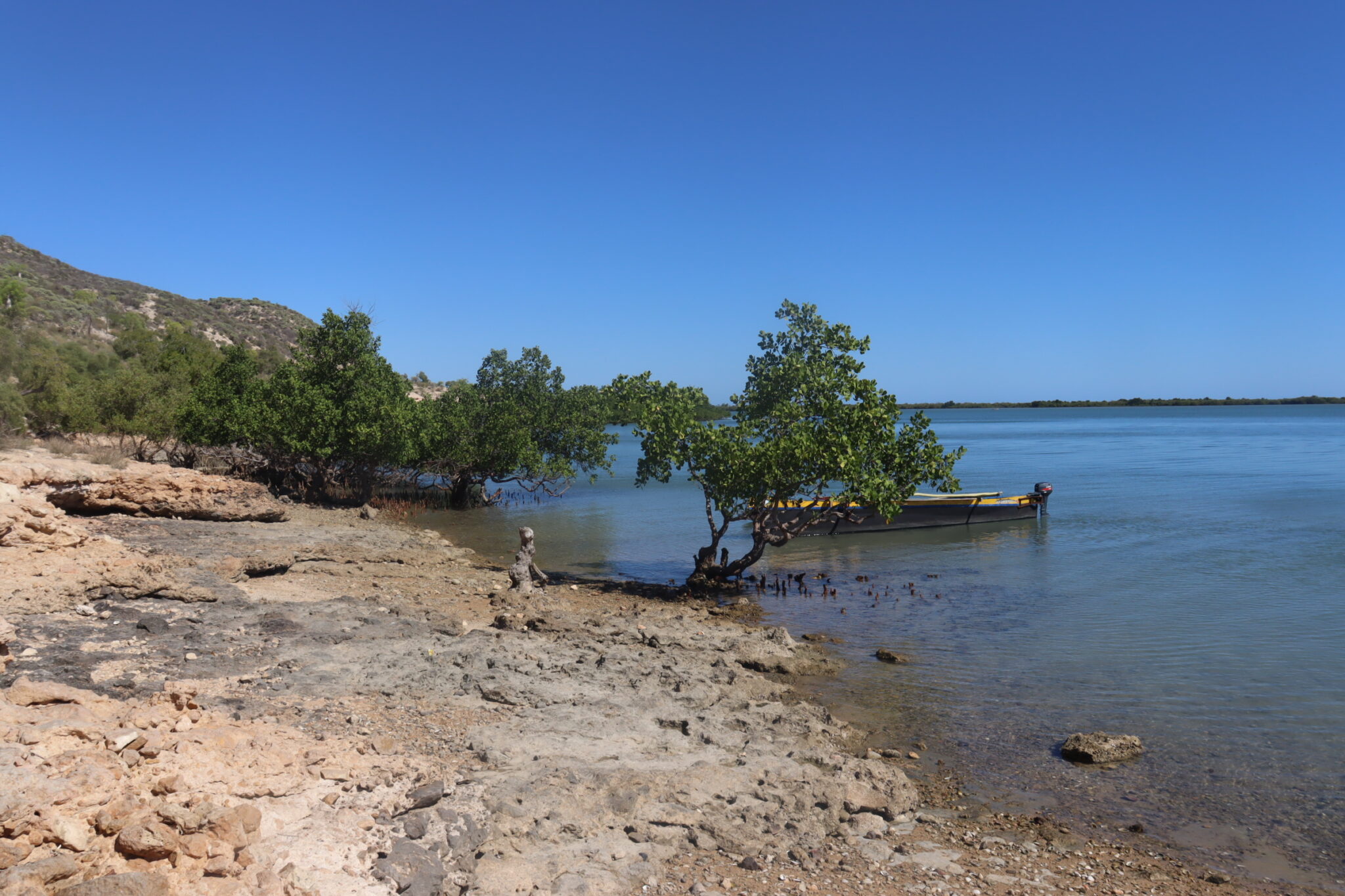 Appel à lettres d'intentions pour le Hotspot de biodiversité Madagascar et les îles de l'Océan Indien (MADIO) Petites subventions