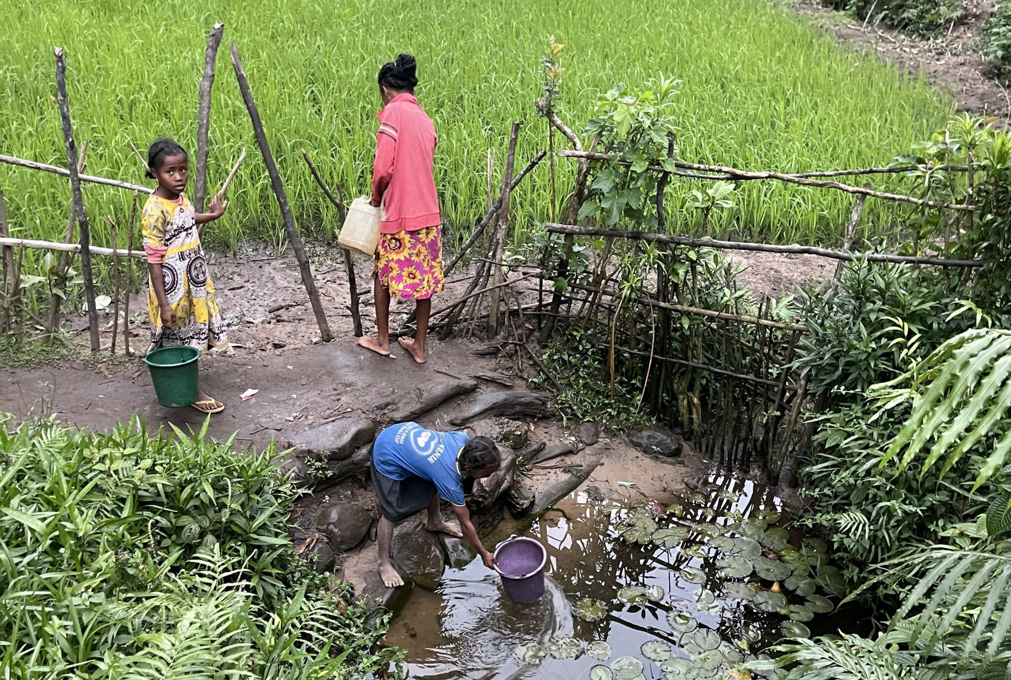 MAHARINA