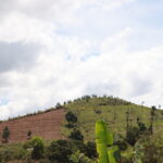 Antafitenona : Quand l’Agroécologie Réconcilie Jeunesse et Communauté