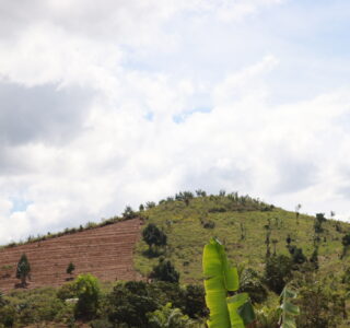 Antafitenona : Quand l’Agroécologie Réconcilie Jeunesse et Communauté