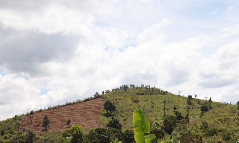 Antafitenona : Quand l’Agroécologie Réconcilie Jeunesse et Communauté