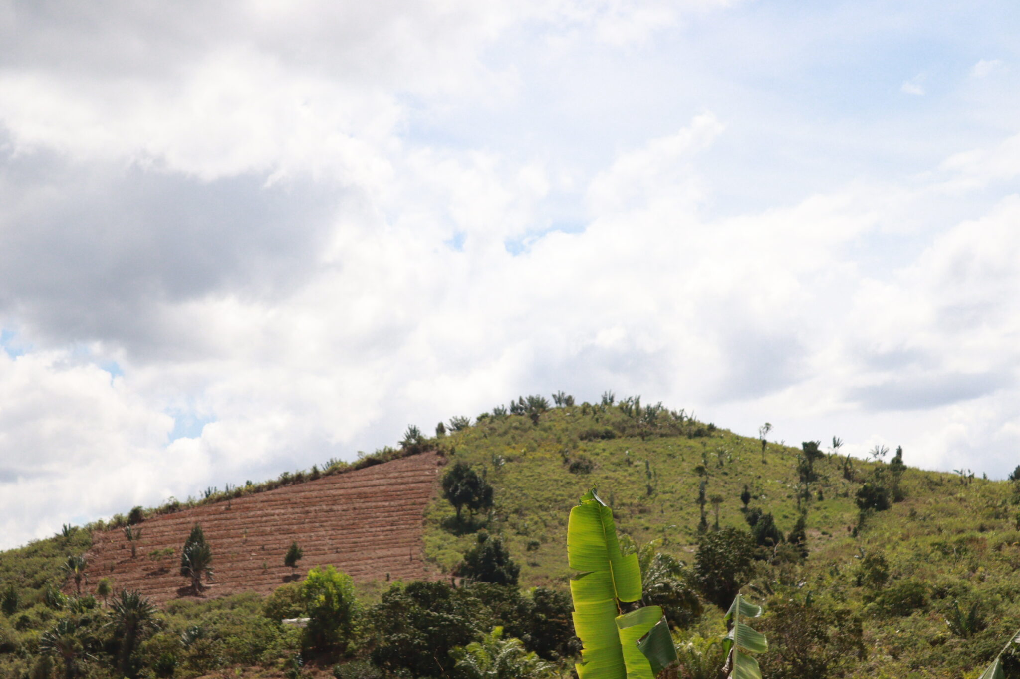 Antafitenona : Quand l’Agroécologie Réconcilie Jeunesse et Communauté